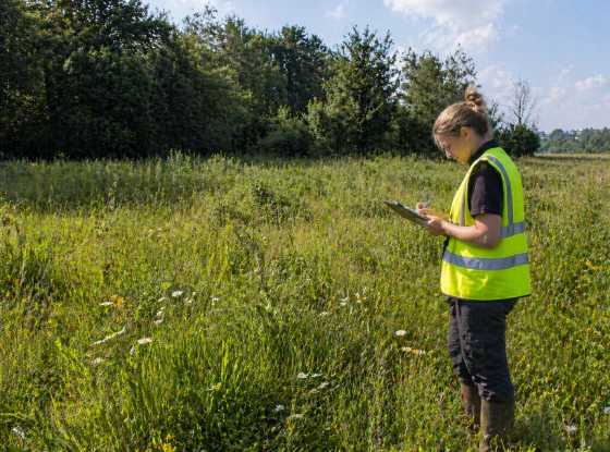 Biodiversity Net Gain (BNG) — fieldwork